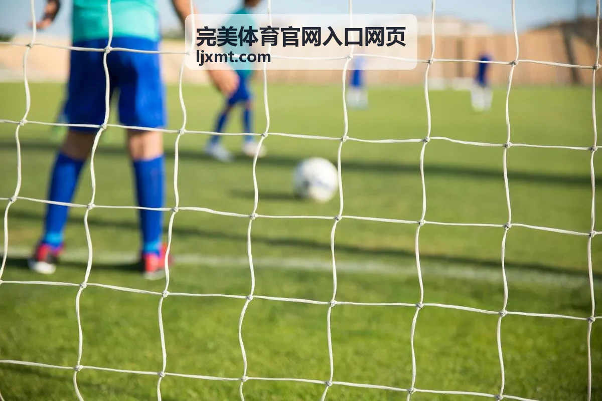完美体育官网入口网页入口使用指引卡片