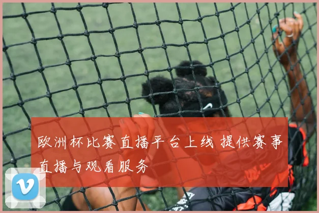 欧洲杯比赛直播平台上线 提供赛事直播与观看服务