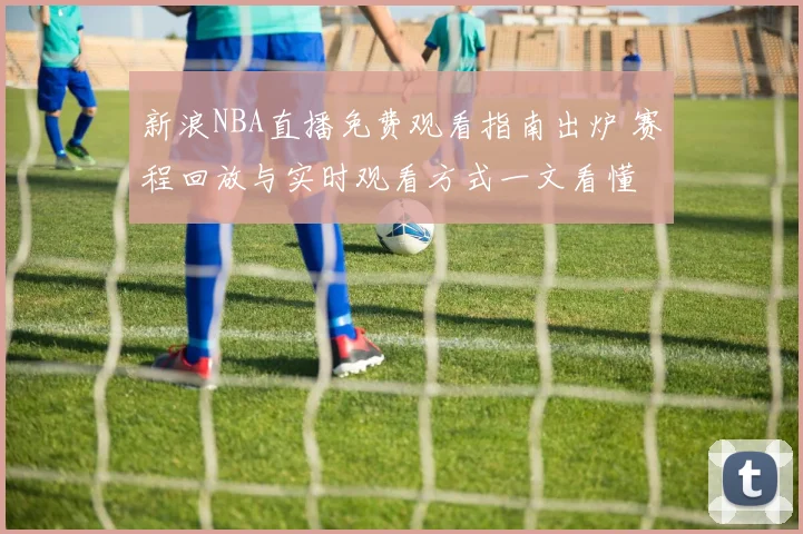 新浪NBA直播免费观看指南出炉 赛程回放与实时观看方式一文看懂