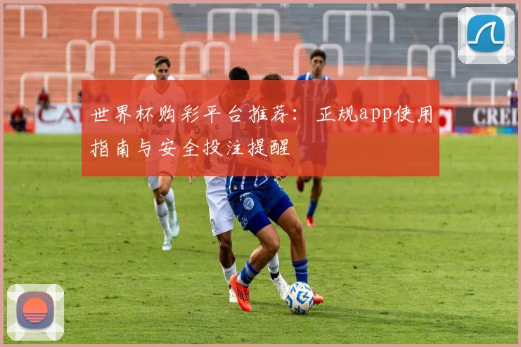 世界杯购彩平台推荐：正规app使用指南与安全投注提醒