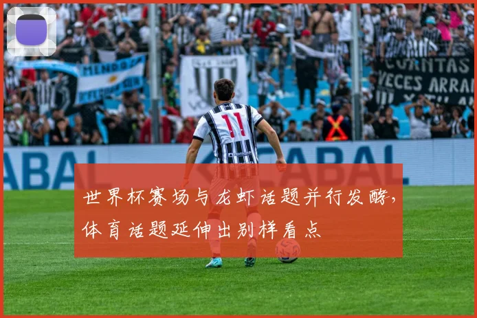 世界杯赛场与龙虾话题并行发酵，体育话题延伸出别样看点