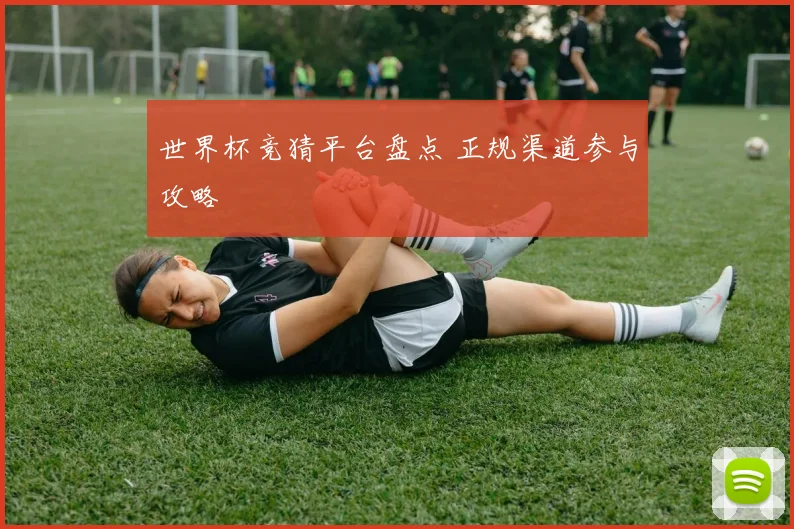 世界杯竞猜平台盘点 正规渠道参与攻略