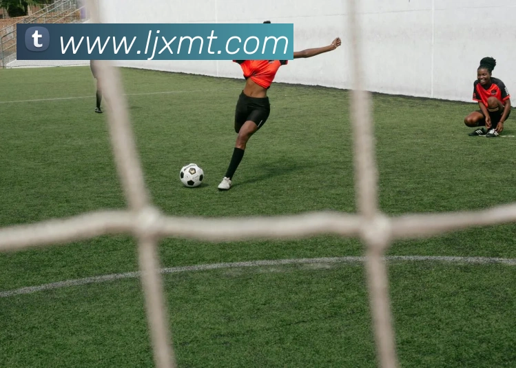 App Interface Preview